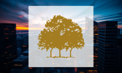 Beitragsbild zu Canopy Growth Aktie: Jetzt wird's kritisch!