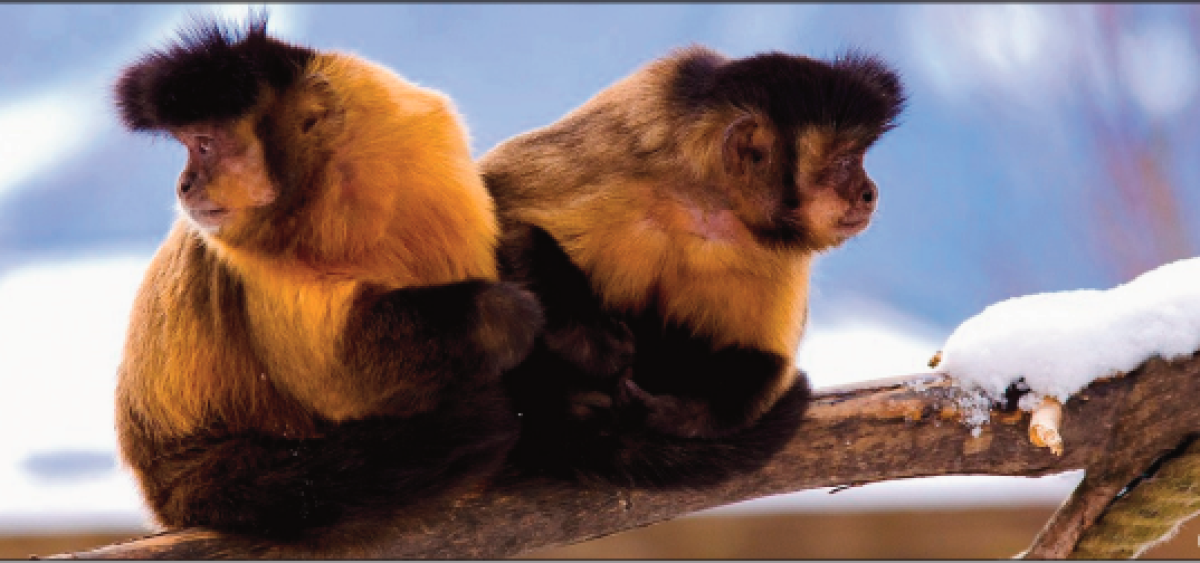 Beitragsbild zu Nur eine Frage des Blickwinkels