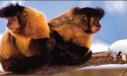 Beitragsbild zu Nur eine Frage des Blickwinkels