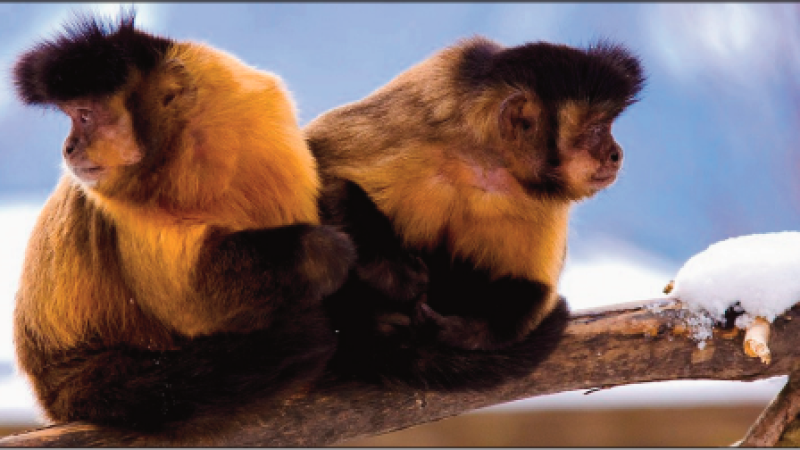 Beitragsbild zu Nur eine Frage des Blickwinkels