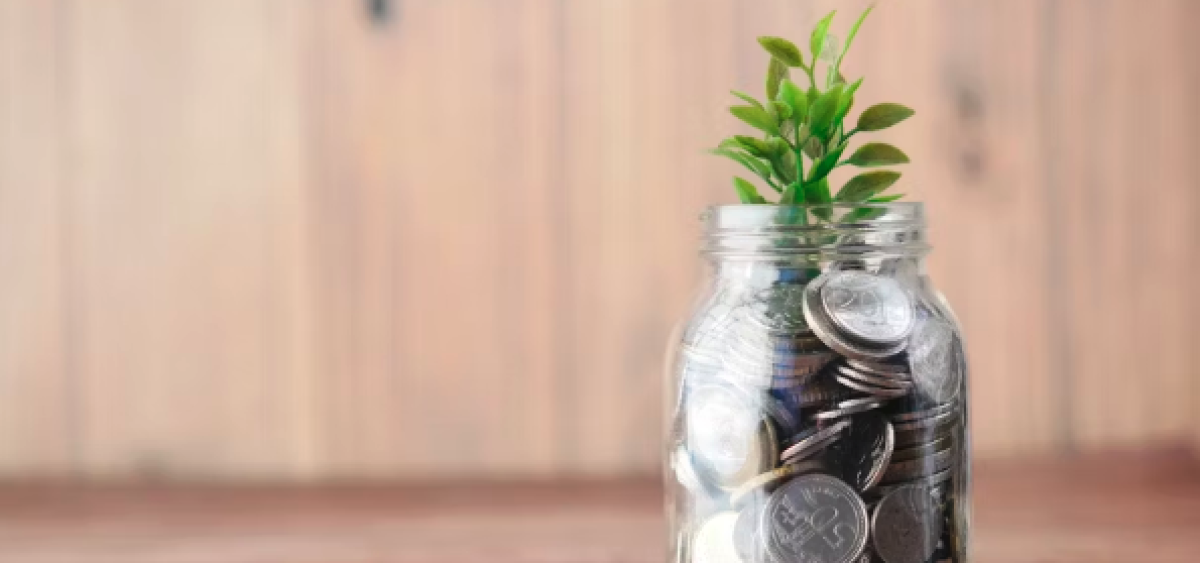 Beitragsbild zu Zukunft gestalten, Rendite sichern: So investieren Sie in erneuerbare und grüne Energie mit P2P