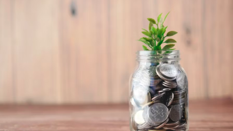Beitragsbild zu Zukunft gestalten, Rendite sichern: So investieren Sie in erneuerbare und grüne Energie mit P2P