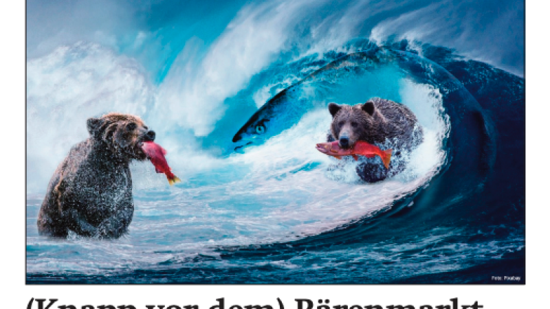 Beitragsbild zu News aus dem Börse Express PDF vom 07.04.2025: (Knapp vor dem) Bärenmarkt 