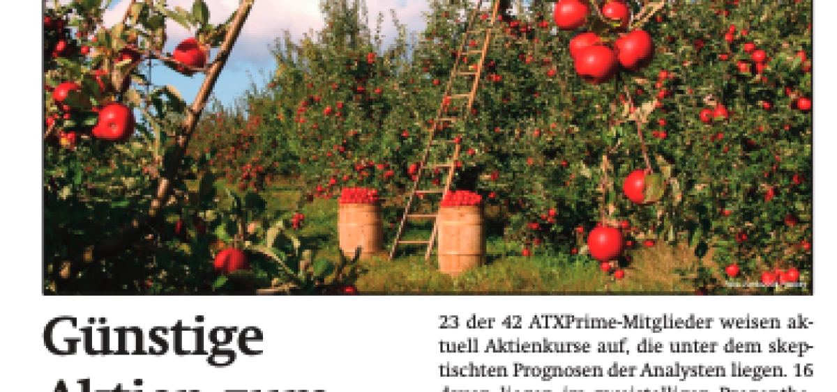 Beitragsbild zu News aus dem Börse Express PDF vom 12.08.2024: Gewinneraktien zum Abernten