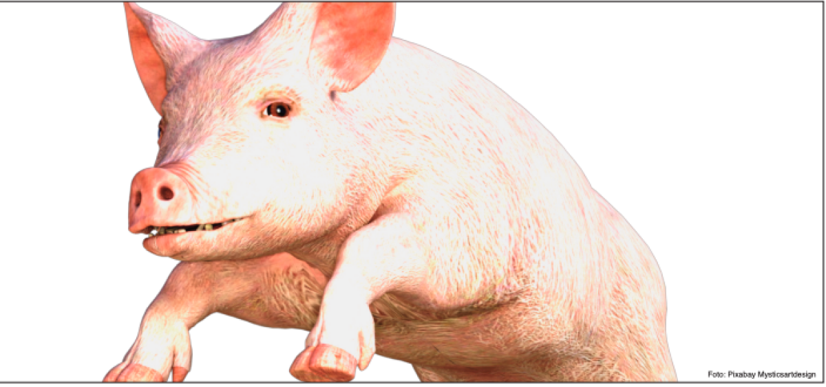 Beitragsbild zu Von Kostolany, getriebenen Säuen und der Rache der Dinosaurier