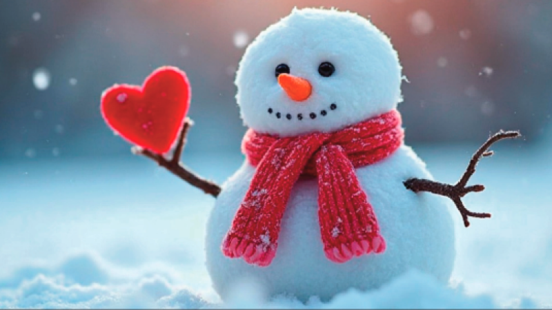 Beitragsbild zu Rot-weiß-rote Performancestars