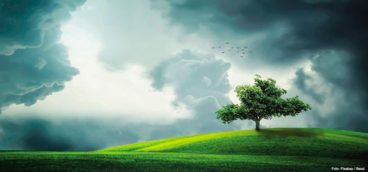 Beitragsbild zu Es liegt ein Schatten über dem Markt