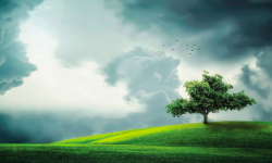 Beitragsbild zu Es liegt ein Schatten über dem Markt