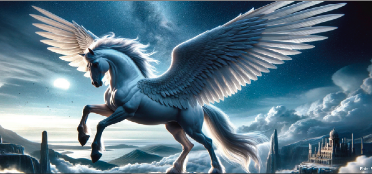 Beitragsbild zu Der Höhenflug am Markt erreicht neue Rekordwerte