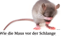 Beitragsbild zu Wiener Börsenews (und mehr): Wie die Maus vor der Schlange