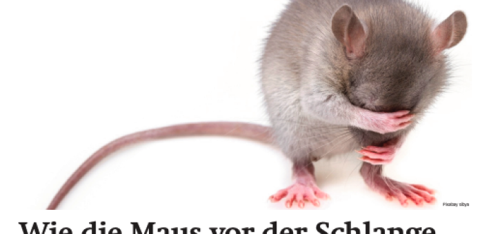 Beitragsbild zu Wiener Börsenews (und mehr): Wie die Maus vor der Schlange