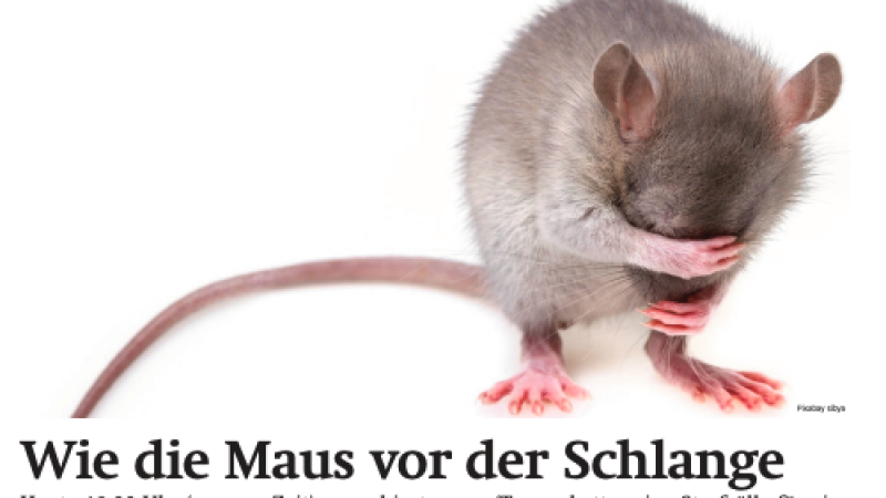 Beitragsbild zu Wiener Börsenews (und mehr): Wie die Maus vor der Schlange