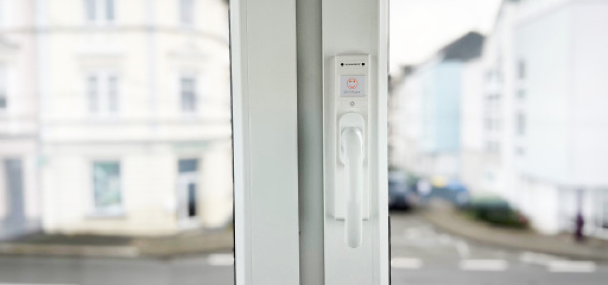 Beitragsbild zu Wer hat Schuld am Schimmel? Wir klären auf und haben die Lösung! (FOTO)