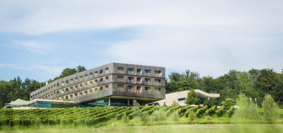 Beitragsbild zu SORAVIA setzt Expansionskurs fort: Partnerschaft mit Limestone Capital für LOISIUM Wine & Spa Hotels