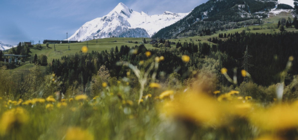 Beitragsbild zu 65. Hauptversammlung der Gletscherbahnen Kaprun AG