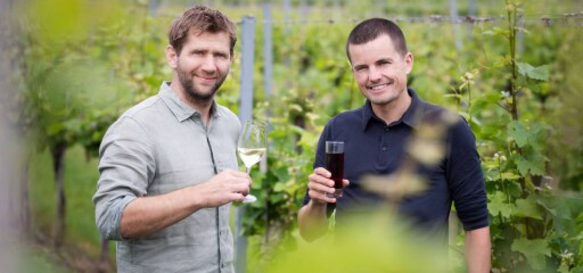 Beitragsbild zu Volt gegen Veltliner: Innovatives Energiekonzept wird auf ganz Österreich ausgeweitet