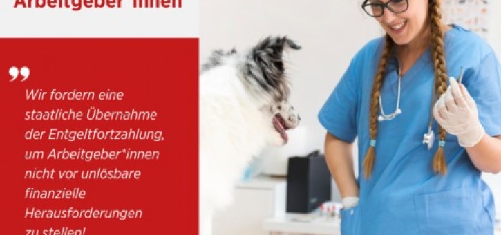 Beitragsbild zu Mutterschutz für Tierärzt*innen ohne Existenzkrise für Arbeitgeber*innen