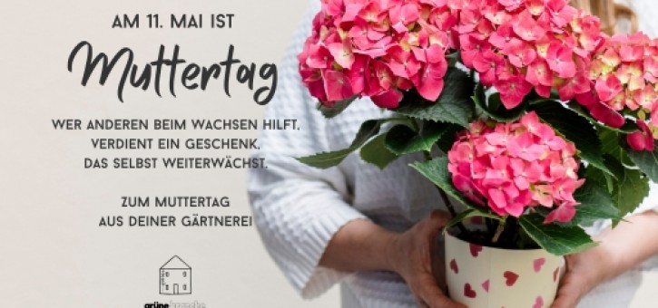 Beitragsbild zu Prächtige Blumengeschenke aus der Region zum Muttertag