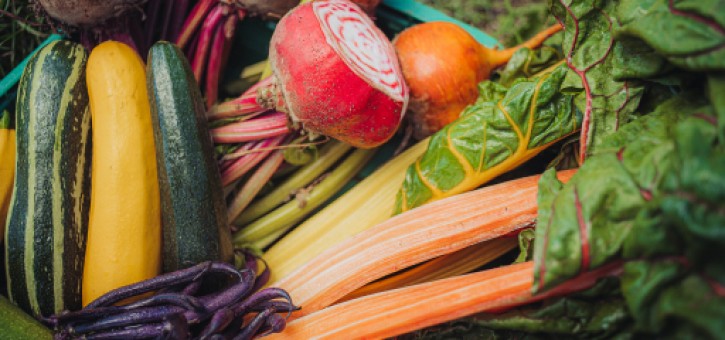 Beitragsbild zu “So sollte Frische schmecken”
