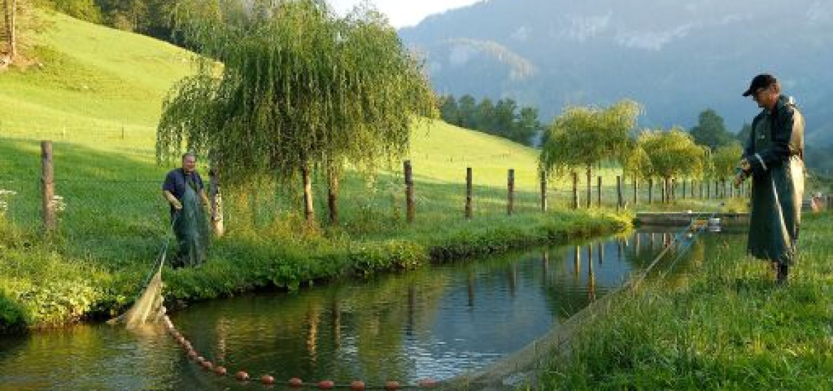 Beitragsbild zu Gurkerl setzt im März auf besondere Frische bei Fisch