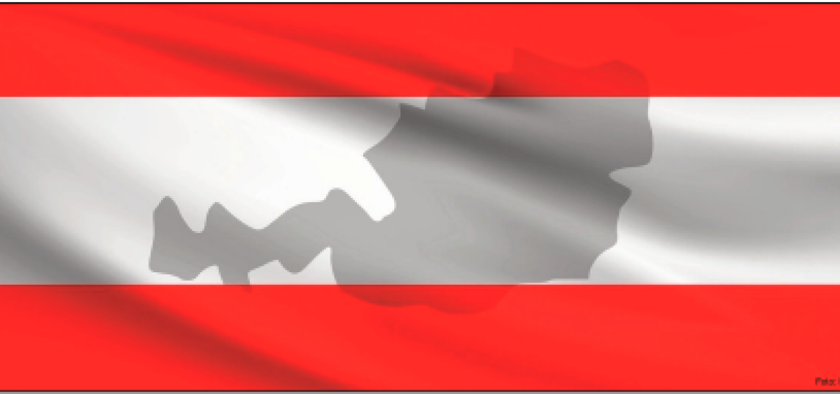 Beitragsbild zu Besser wia a Sta am Schädel