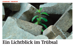 Beitragsbild zu News aus dem Börse Express PDF vom 10.03.2025 - Ein Lichtblick im Trübsal