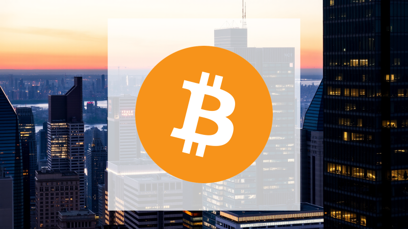 Beitragsbild zu Bitcoin: Zwischen Bremse und Potenzial