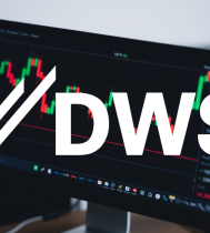 logo 1747689366 dws dws