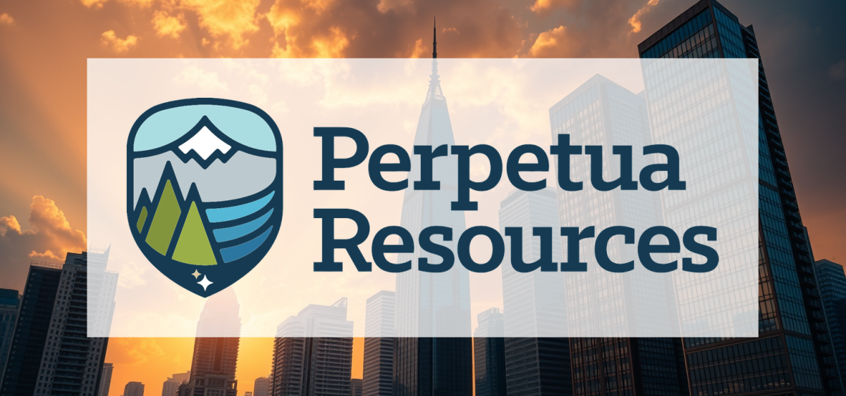 Beitragsbild zu Perpetua Resources Aktie: Marktdaten bestätigt