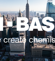 logo 1747251369 basf bas