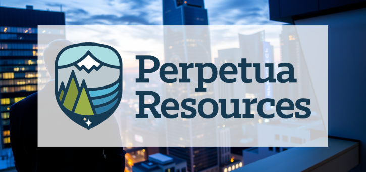 Beitragsbild zu Perpetua Resources Aktie: Entwicklungen vergleichbar?