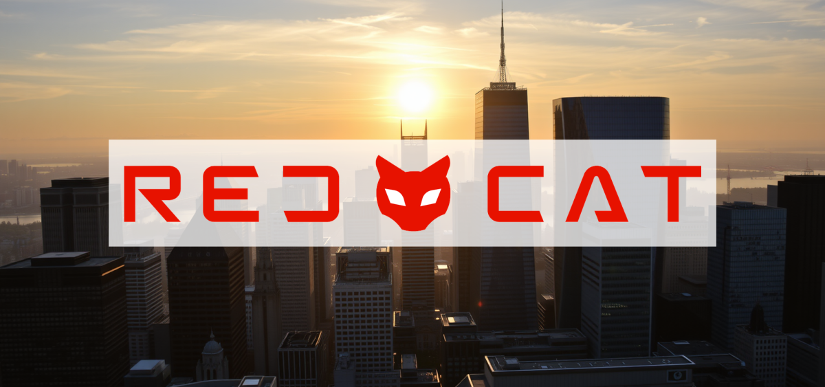 Beitragsbild zu Red Cat Aktie: Vergebliche Liebesmüh?