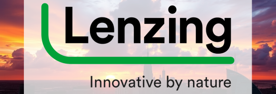 logo 1747899744 lenzing lnz