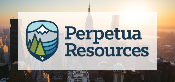 Beitragsbild zu Perpetua Resources Aktie: Schicksalsfrage ungelöst?