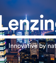 logo 1747256771 lenzing lnz