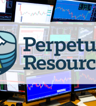 logo 1747898169 perpetua resources ppta