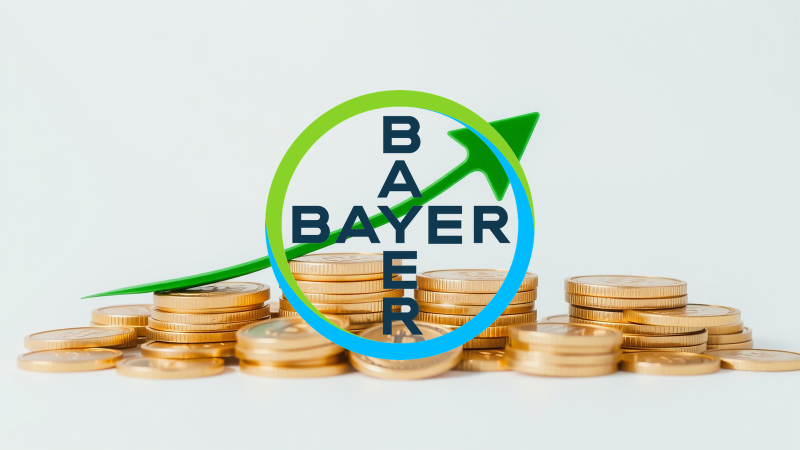 Beitragsbild zu Bayer Aktie: Jetzt wird es ernst