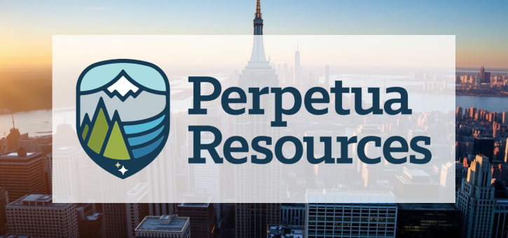 Beitragsbild zu Perpetua Resources Aktie: Durchbruch am Goldprojekt?