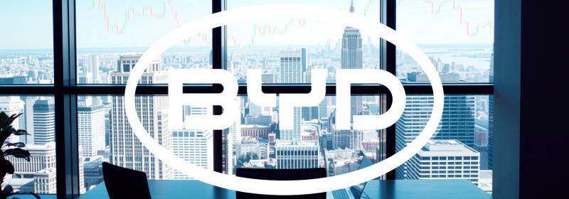 Beitragsbild zu BYD Aktie: Tektonische Verschiebungen