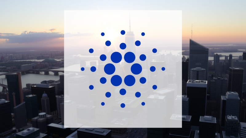 Beitragsbild zu Cardano: Panik nach Netzwerk-Panne!