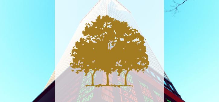Beitragsbild zu Canopy Growth Aktie: Absturz ohne Ende?