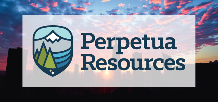Beitragsbild zu Perpetua Resources Aktie: Etappenweise Frustration!