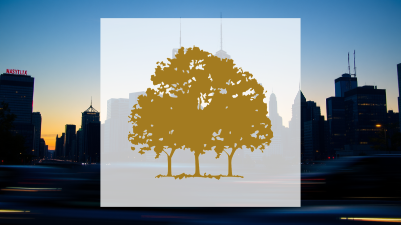 Beitragsbild zu Canopy Growth Aktie: Unvollkommene Fortschritte?