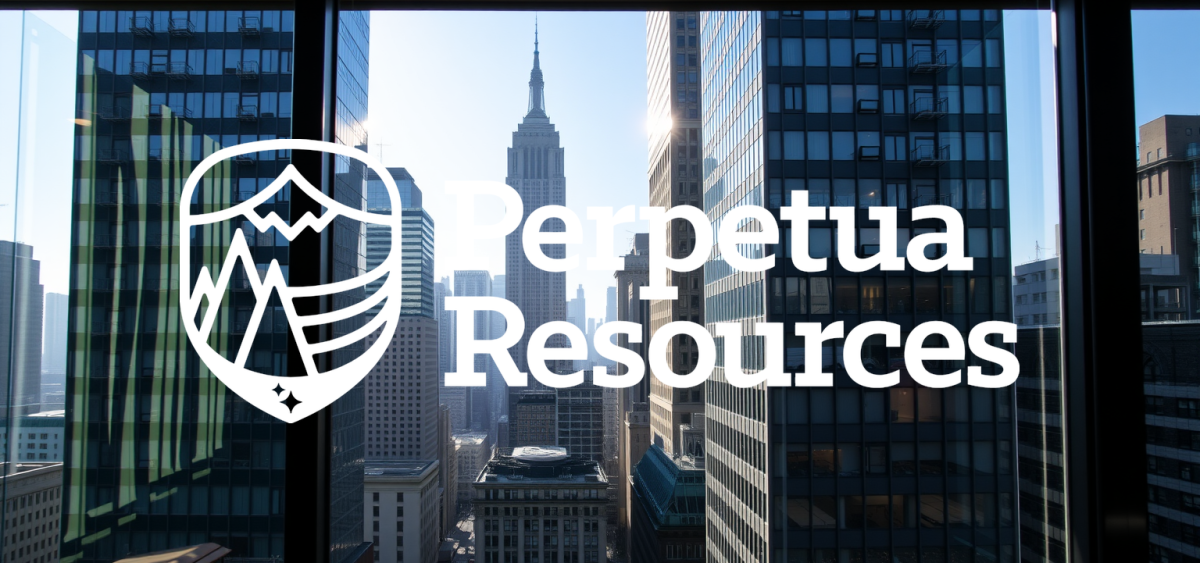 Beitragsbild zu Perpetua Resources Aktie: Durchbruch gelungen
