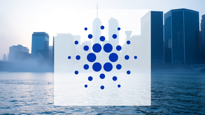 Beitragsbild zu Cardano: Kollaps auf breiter Front!