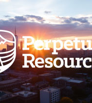 logo 1747698367 perpetua resources ppta