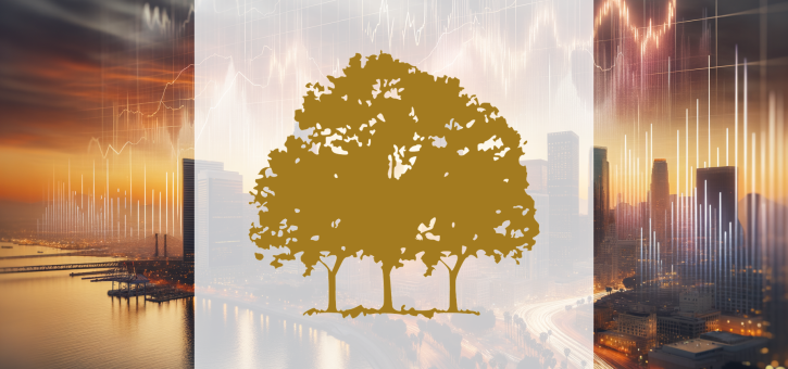Beitragsbild zu Canopy Growth Aktie: Absturz beschleunigt sich