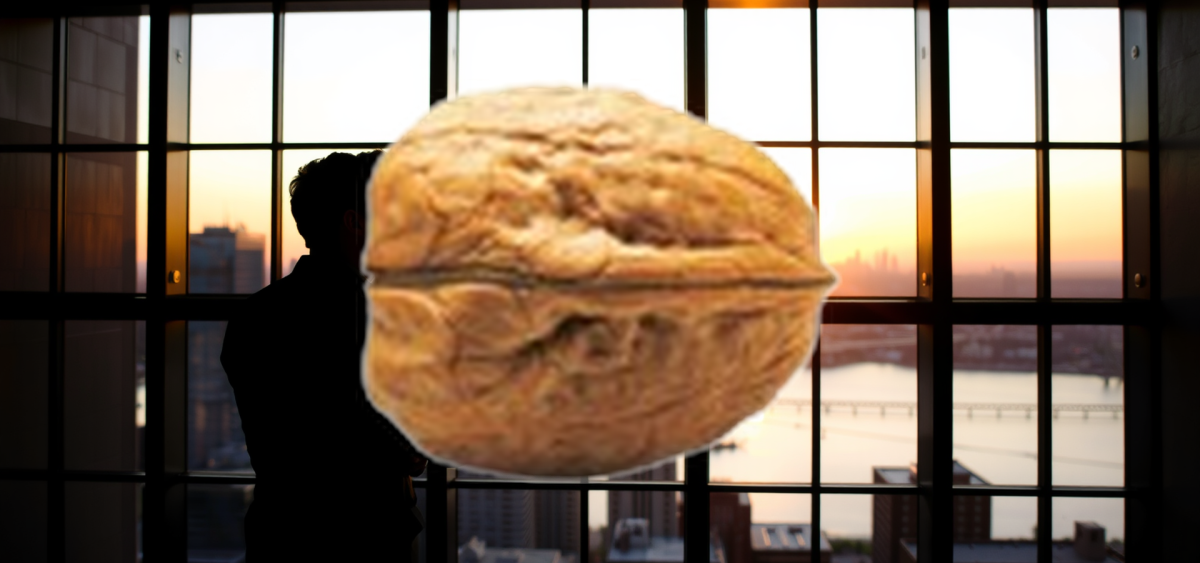 Beitragsbild zu PSI Software Aktie: Warburg nähert sich 90-Prozent-Marke