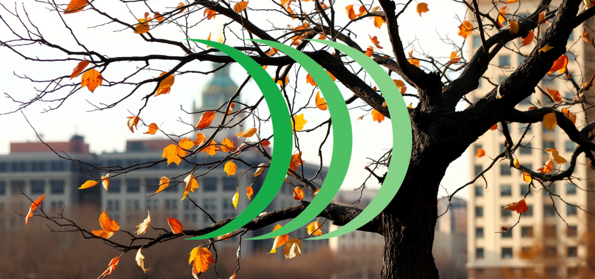 Beitragsbild zu Hensoldt Aktie: Panik nach Rekordlauf!