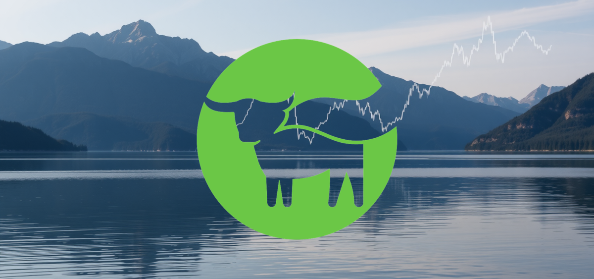 Beitragsbild zu Beyond Meat Aktie: Vanguard steigt ein